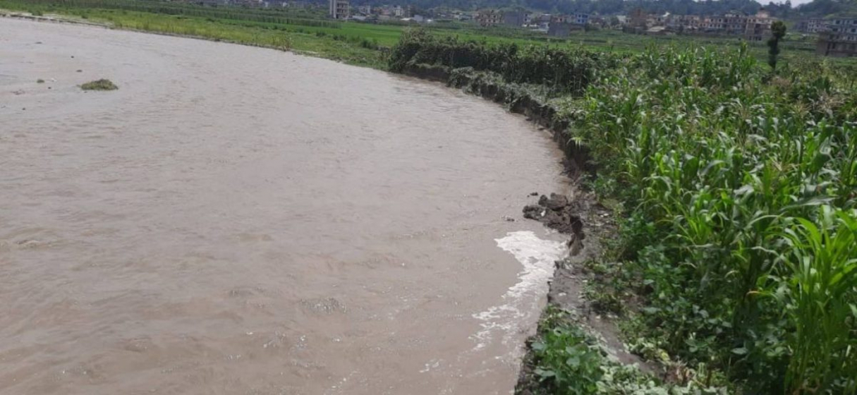 मनोहरा नदीको धार फेरिँदा काठमाडौं–भक्तपुरमा ११५ रोपनी जग्गा साटासाट, महानगर सक्रिय